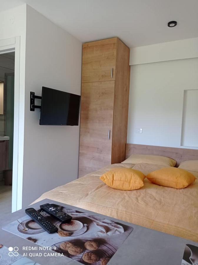 Apartma Aurora 크라니스카고라 외부 사진