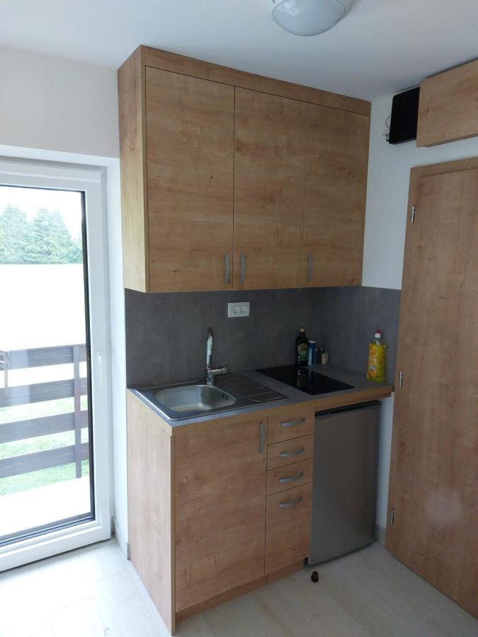 Apartma Aurora 크라니스카고라 외부 사진